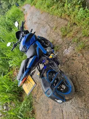 Bajaj Pulsar NS160 2017