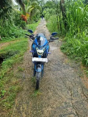 Bajaj Pulsar NS160 2017