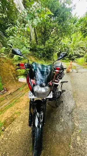 Bajaj Pulsar 180 2010