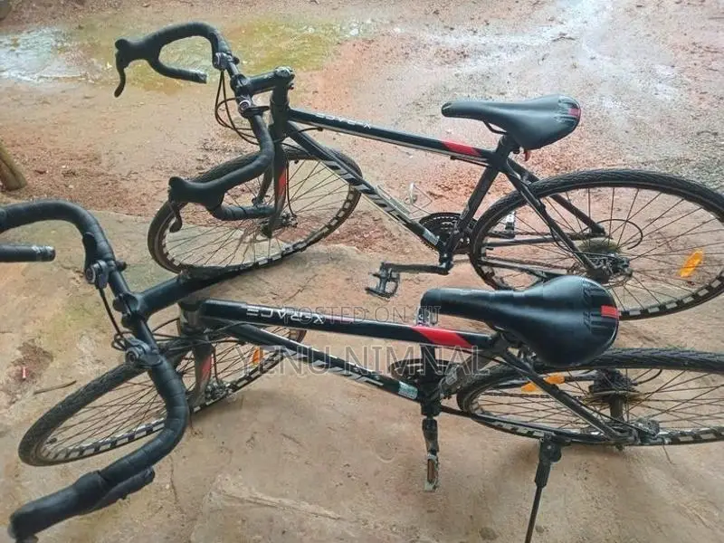 Alvas X-Race Road Bicycle