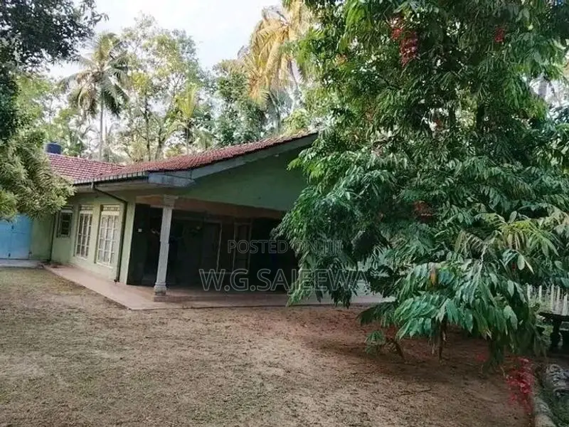 100 Perches Valuable Land with House for Sale in Veyangoda