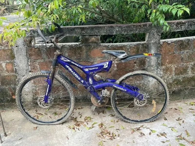 Tomahawk Bicycle
