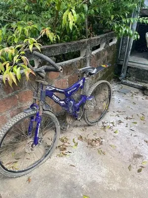 Tomahawk Bicycle