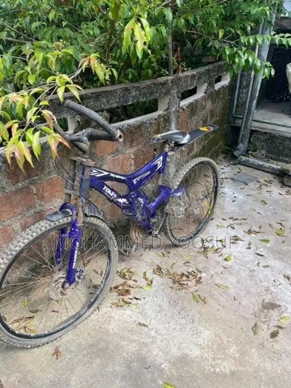 Tomahawk Bicycle