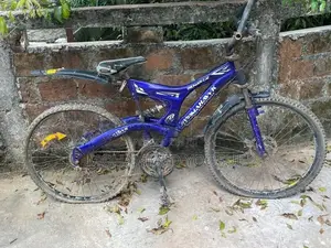 Tomahawk Bicycle