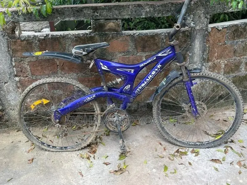 Tomahawk Bicycle