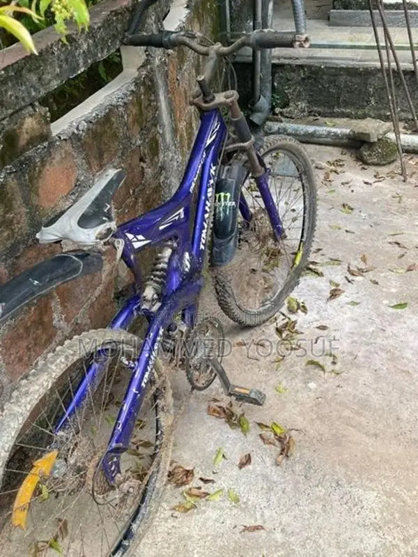 Tomahawk Bicycle