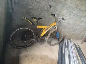 DSI Bicycle