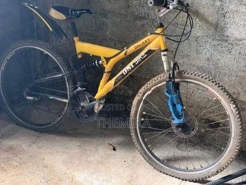 DSI Bicycle