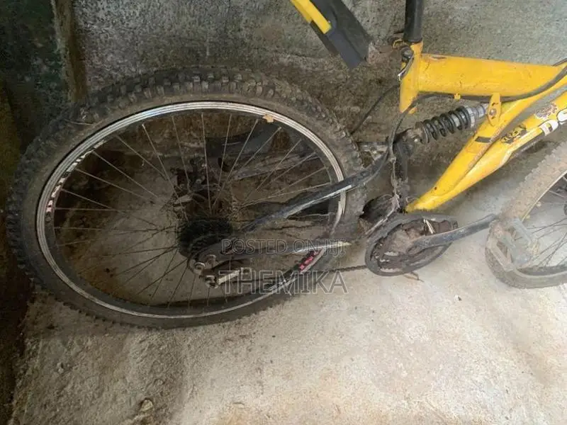DSI Bicycle