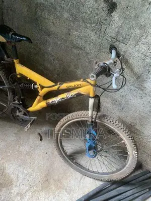 DSI Bicycle