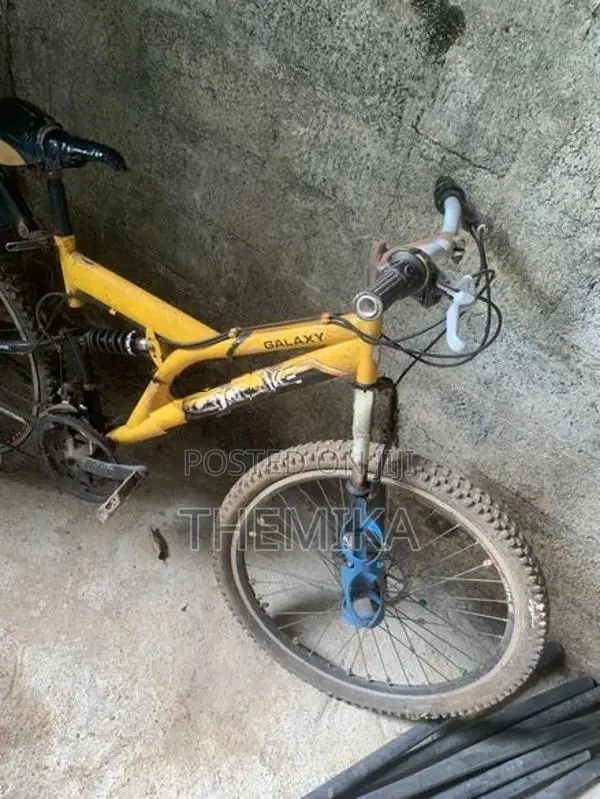 DSI Bicycle