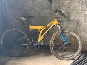 DSI Bicycle
