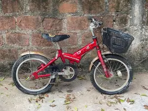 Jeep Commando Bicycle