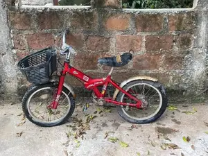 Jeep Commando Bicycle