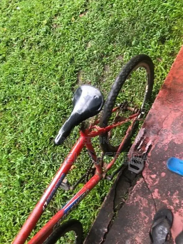 Kenstar Bicycle