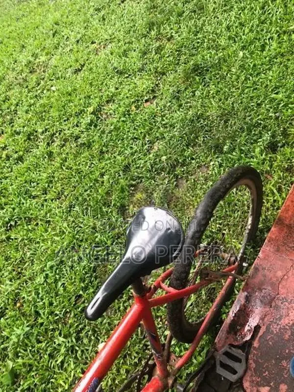 Kenstar Bicycle