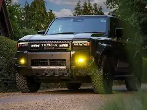 Yellow Fog Lights For Toyota Land Cruiser 250 (LC250)