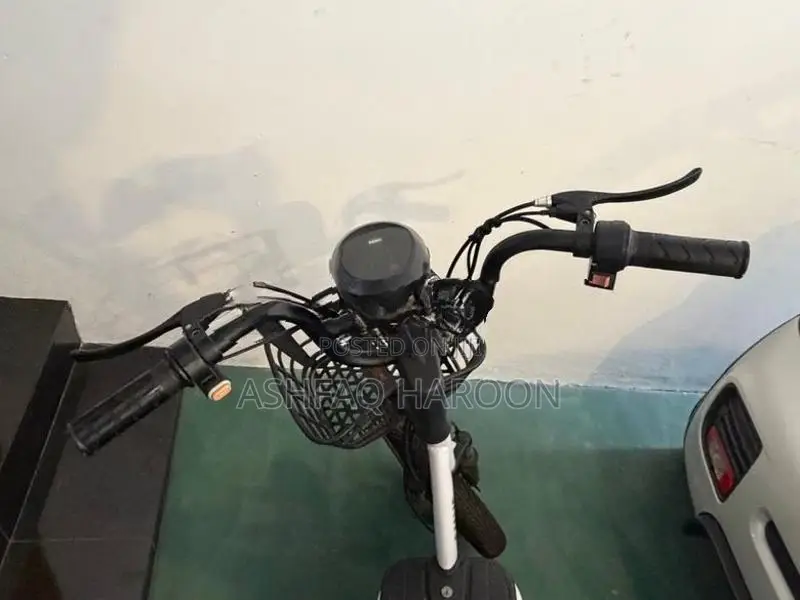 Electric Bike 2019
