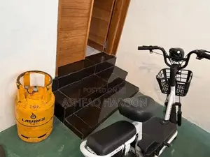 Electric Bike 2019