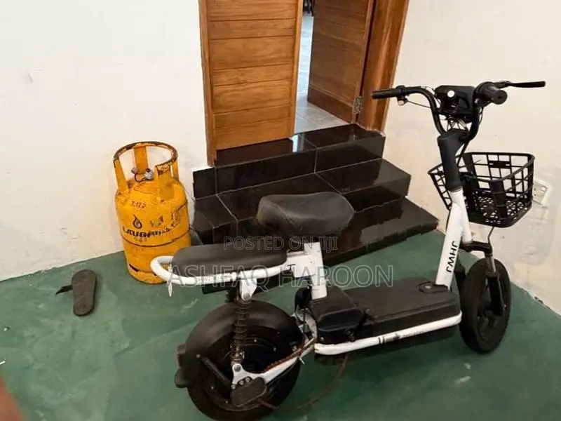 Electric Bike 2019