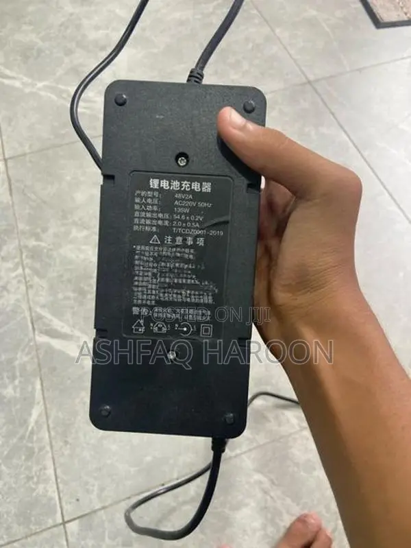 Electric Bike 2019