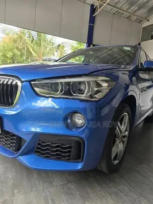 BMW X1 M Sport Package 2018