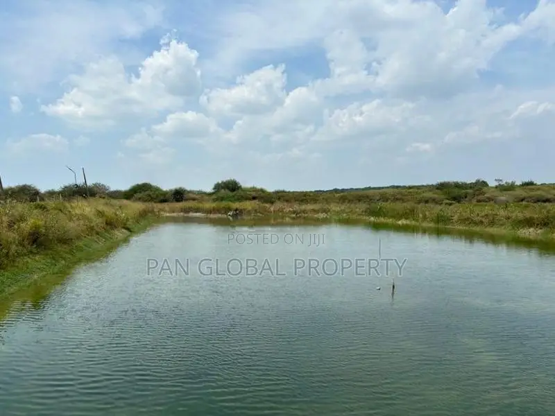 Coconut Estate for Sale in Puttalam
