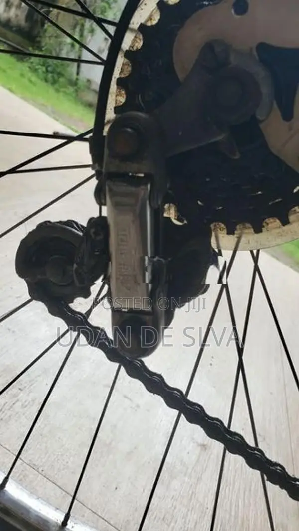 Shimano Vintage Classic Road Bicycle