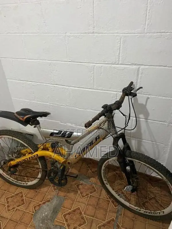 Lumala Bicycle