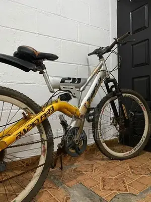 Lumala Bicycle