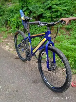 Dsi පා පැදියක්
