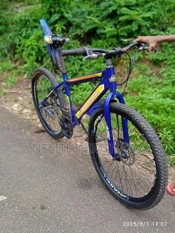 Dsi පා පැදියක්