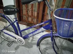 Ladies Bicycle