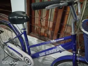 Ladies Bicycle