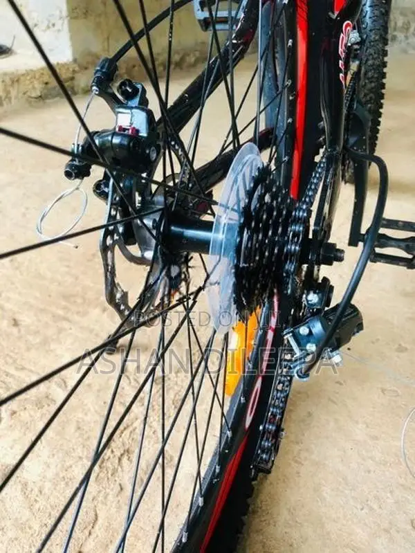 Bianchi බයිසිකලය