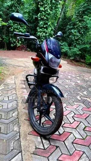 Bajaj Platina 125 2010