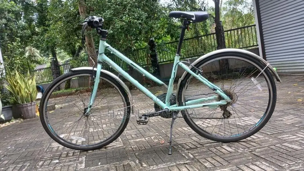 Manhattan Bicycle