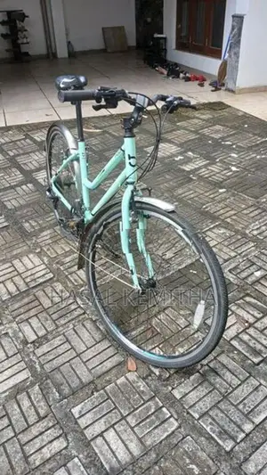 Manhattan Bicycle