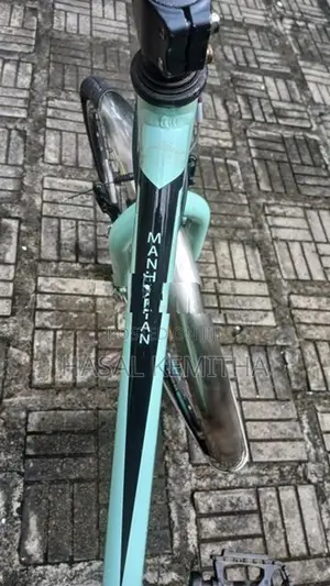 Manhattan Bicycle