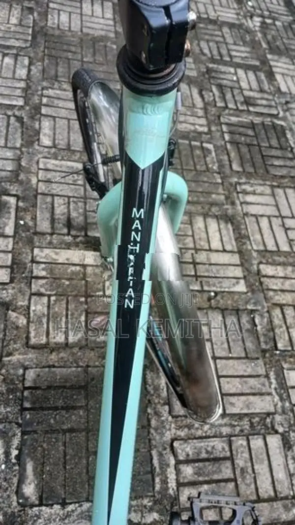Manhattan Bicycle