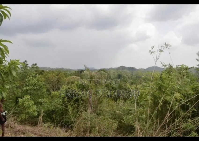 03 Acres of Coconut Land for Sale in Tangalle