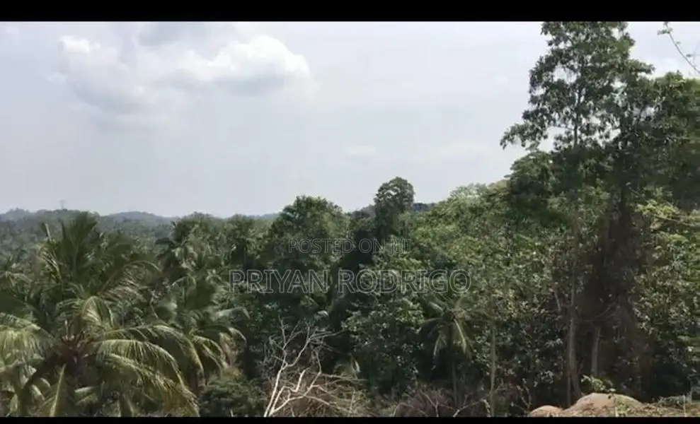 03 Acres of Coconut Land for Sale in Tangalle
