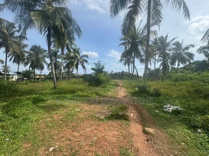 Land for Rent in Biyagama