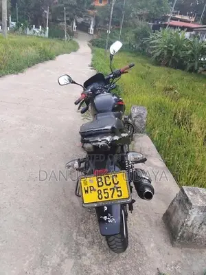 Bajaj Pulsar 150 2015