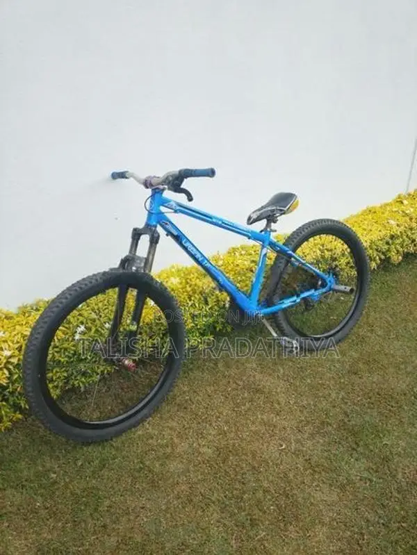 Shimano Stand Bike