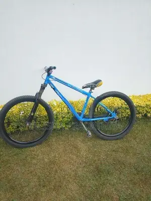 Shimano Stand Bike