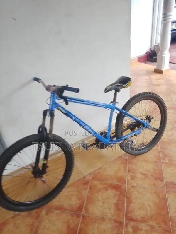 Shimano Stand Bike