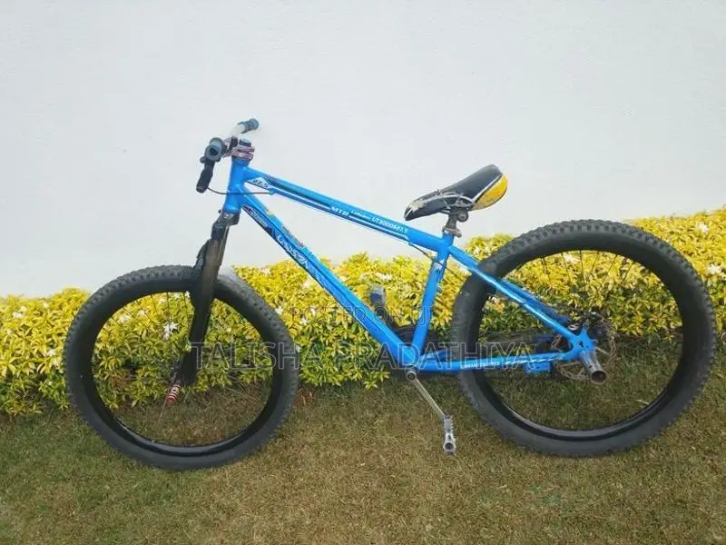 Shimano Stand Bike