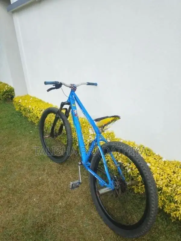Shimano Stand Bike
